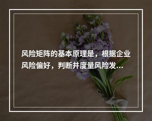 风险矩阵的基本原理是，根据企业风险偏好，判断并度量风险发生的