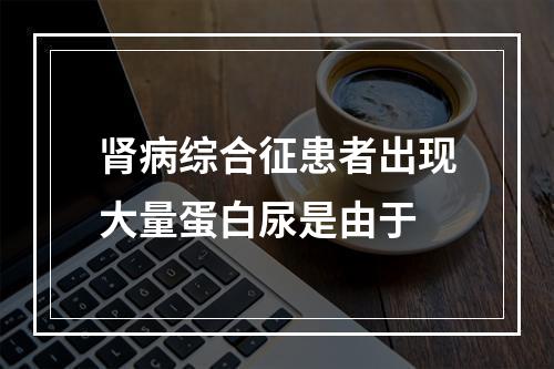 肾病综合征患者出现大量蛋白尿是由于