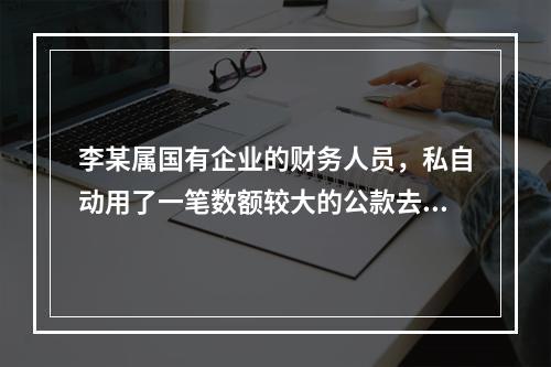 李某属国有企业的财务人员，私自动用了一笔数额较大的公款去炒股