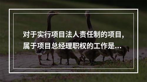 对于实行项目法人责任制的项目,属于项目总经理职权的工作是(