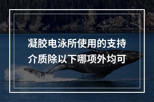 凝胶电泳所使用的支持介质除以下哪项外均可