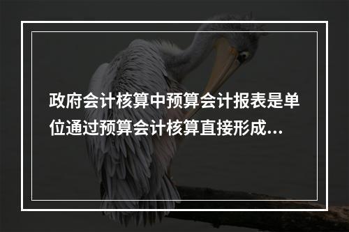 政府会计核算中预算会计报表是单位通过预算会计核算直接形成的报