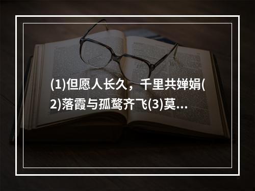 (1)但愿人长久，千里共婵娟(2)落霞与孤鹜齐飞(3)莫等闲