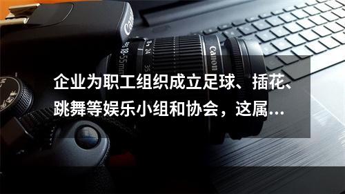 企业为职工组织成立足球、插花、跳舞等娱乐小组和协会，这属于（