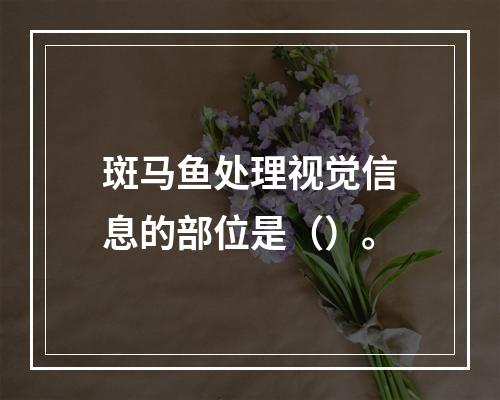 斑马鱼处理视觉信息的部位是（）。