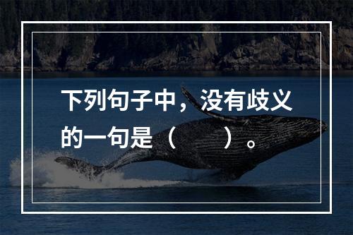 下列句子中，没有歧义的一句是（　　）。