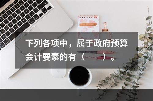 下列各项中，属于政府预算会计要素的有（　　）。