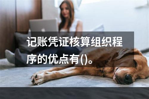 记账凭证核算组织程序的优点有()。