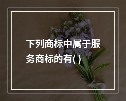 下列商标中属于服务商标的有( )