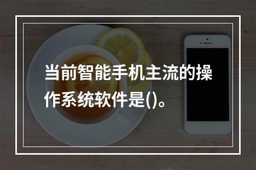 当前智能手机主流的操作系统软件是()。