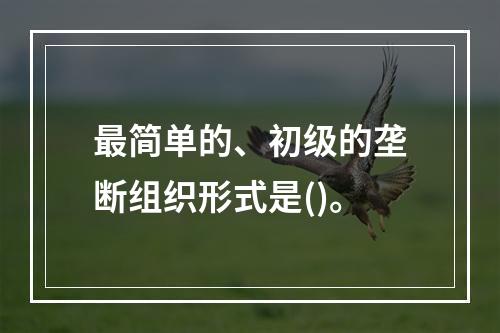 最简单的、初级的垄断组织形式是()。