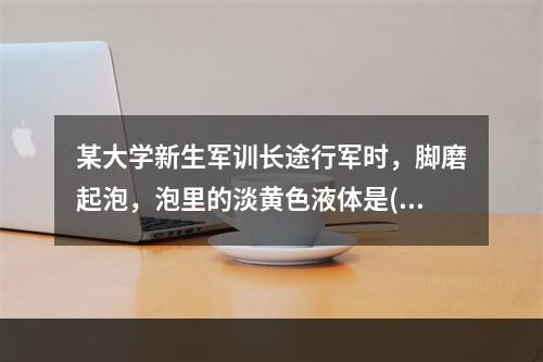 某大学新生军训长途行军时，脚磨起泡，泡里的淡黄色液体是()。