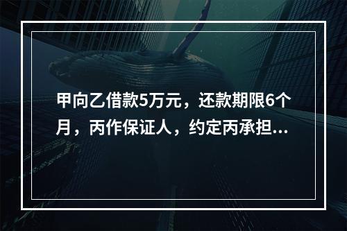 甲向乙借款5万元，还款期限6个月，丙作保证人，约定丙承担保证