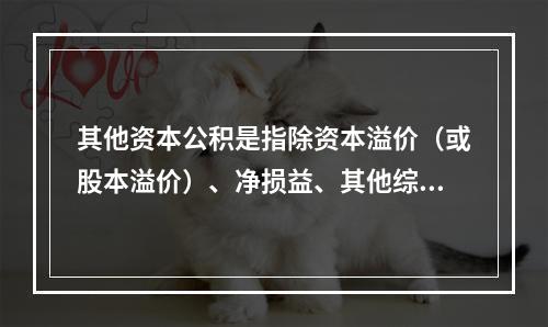 其他资本公积是指除资本溢价（或股本溢价）、净损益、其他综合收