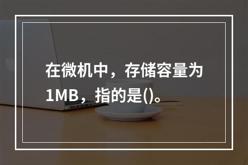 在微机中，存储容量为1MB，指的是()。