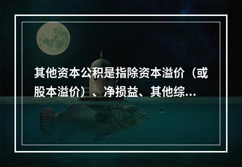 其他资本公积是指除资本溢价（或股本溢价）、净损益、其他综合收