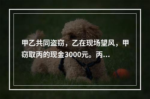 甲乙共同盗窃，乙在现场望风，甲窃取丙的现金3000元。丙发现