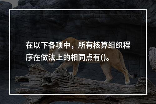 在以下各项中，所有核算组织程序在做法上的相同点有()。