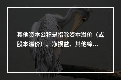 其他资本公积是指除资本溢价（或股本溢价）、净损益、其他综合收