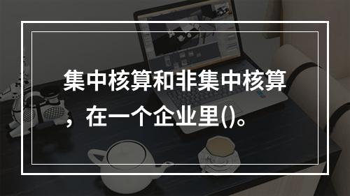 集中核算和非集中核算，在一个企业里()。