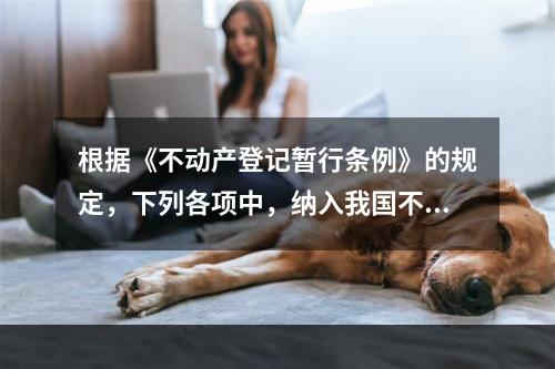 根据《不动产登记暂行条例》的规定，下列各项中，纳入我国不动产