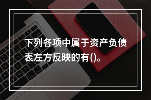 下列各项中属于资产负债表左方反映的有()。