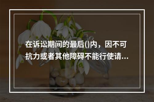 在诉讼期间的最后()内，因不可抗力或者其他障碍不能行使请求权