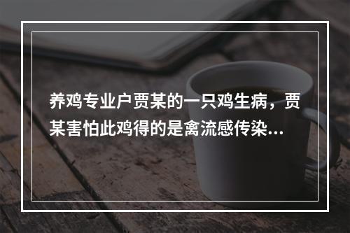 养鸡专业户贾某的一只鸡生病，贾某害怕此鸡得的是禽流感传染了其