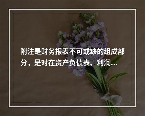 附注是财务报表不可或缺的组成部分，是对在资产负债表、利润表、