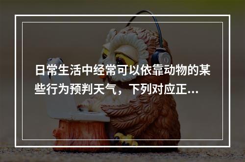 日常生活中经常可以依靠动物的某些行为预判天气，下列对应正确的