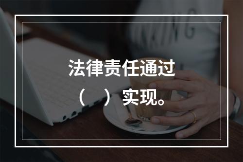 法律责任通过（　）实现。