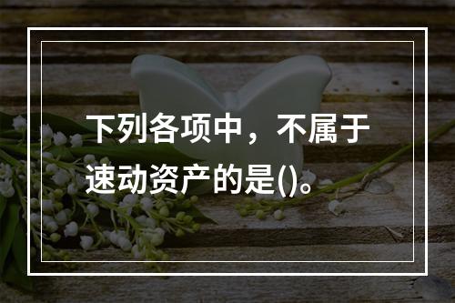 下列各项中，不属于速动资产的是()。