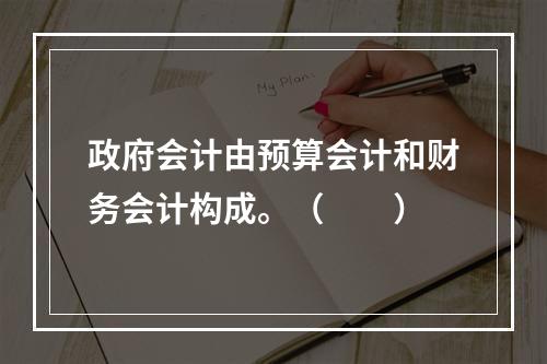 政府会计由预算会计和财务会计构成。（　　）