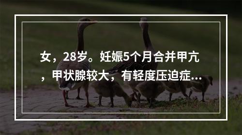 女，28岁。妊娠5个月合并甲亢，甲状腺较大，有轻度压迫症状，