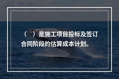 （　）是施工项目投标及签订合同阶段的估算成本计划。