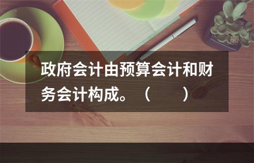 政府会计由预算会计和财务会计构成。（　　）