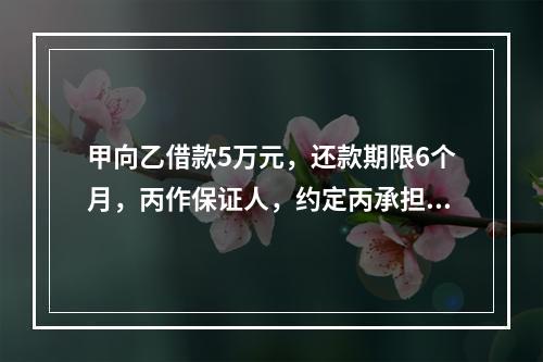 甲向乙借款5万元，还款期限6个月，丙作保证人，约定丙承担保证