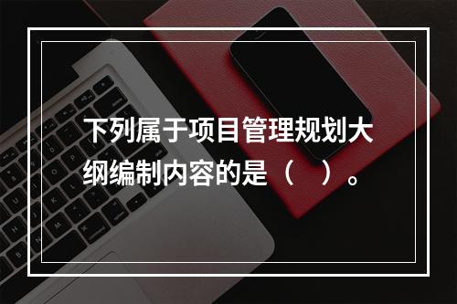 下列属于项目管理规划大纲编制内容的是（　）。