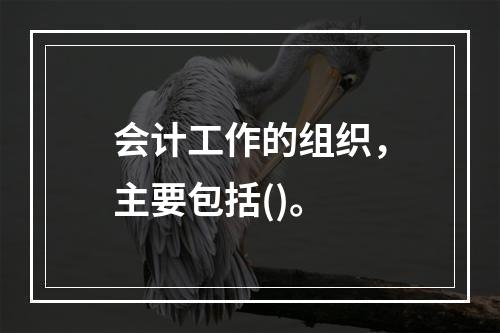 会计工作的组织，主要包括()。