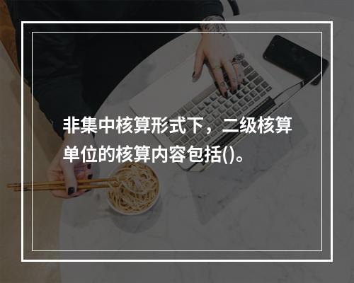 非集中核算形式下，二级核算单位的核算内容包括()。