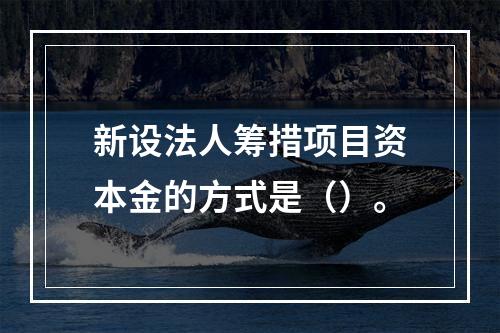 新设法人筹措项目资本金的方式是（）。