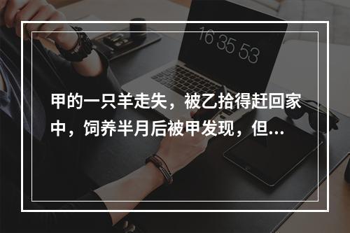 甲的一只羊走失，被乙拾得赶回家中，饲养半月后被甲发现，但乙拒