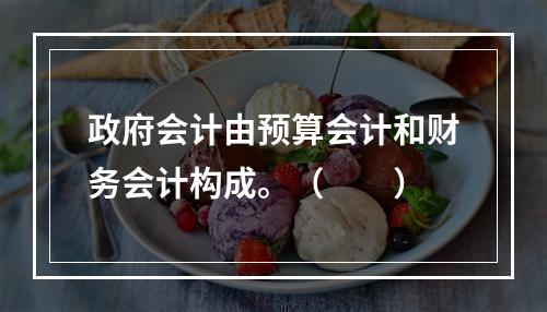 政府会计由预算会计和财务会计构成。（　　）