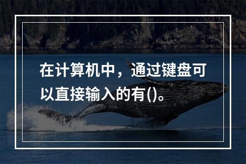 在计算机中，通过键盘可以直接输入的有()。