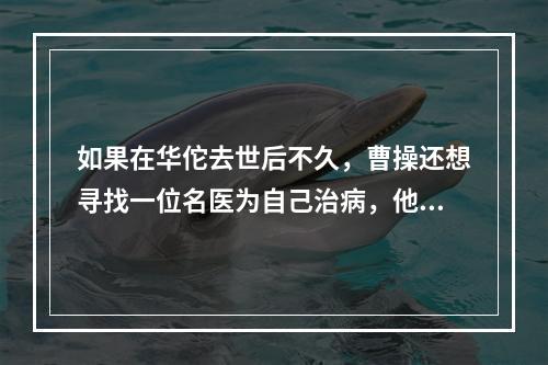 如果在华佗去世后不久，曹操还想寻找一位名医为自己治病，他可以