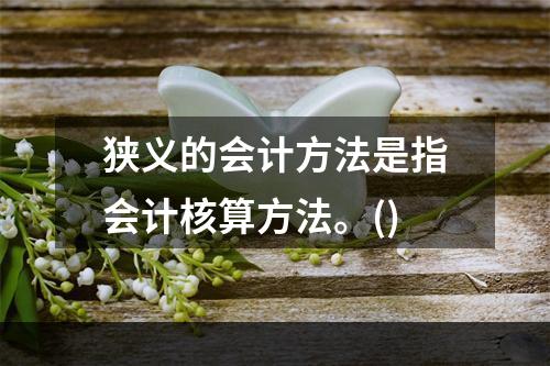 狭义的会计方法是指会计核算方法。()