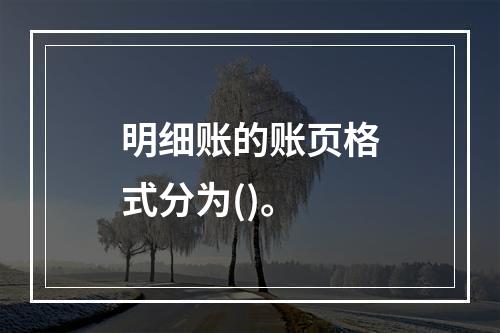 明细账的账页格式分为()。