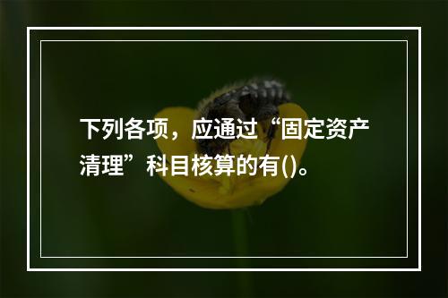 下列各项，应通过“固定资产清理”科目核算的有()。