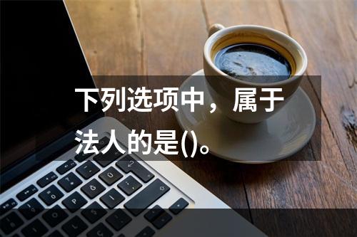 下列选项中，属于法人的是()。