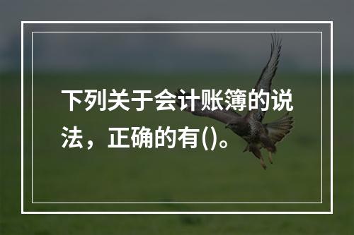 下列关于会计账簿的说法，正确的有()。